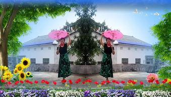 成人广场舞伞舞视频,揭秘成人广场舞伞舞的魅力瞬间