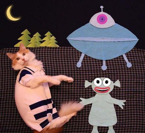 猫变成人转场视频