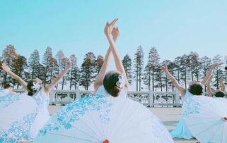 成人活泼中国舞蹈视频,成人中国舞蹈风采展示