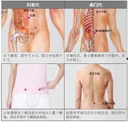 成人肩颈调理手法视频,跟随视频学习专业成人肩颈调理手法