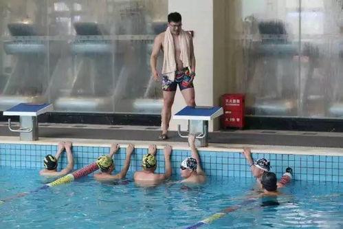 西青成人游泳教学视频,轻松掌握水上技巧