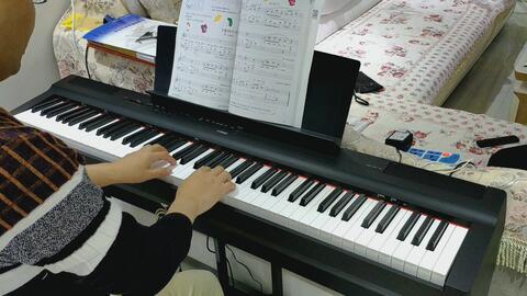 成人钢琴入门视频