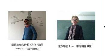 成人训练视频教程大全,视频教程大全精选概述