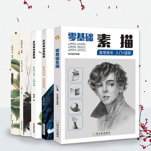 成人零基础素描作图视频,跟随素描作图视频轻松掌握绘画技巧