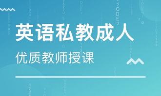 小学英语成人教育视频