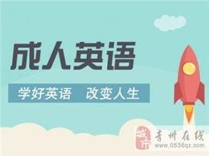 成人英语上课教学视频下载,成人英语课堂视频精华概览