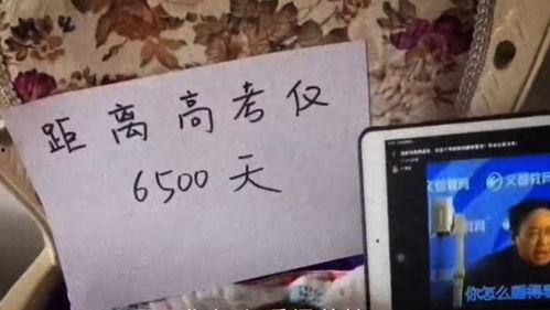 成人考试搞笑视频素材库,成人考试搞笑视频素材库大盘点