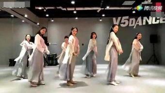 范楼成人舞蹈视频,舞动魅力，释放自我