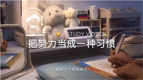 激励学习视频成人,视频助力成就非凡人生