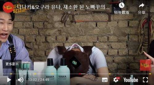 成人看的韩国视频,成人视角下的情感与生活