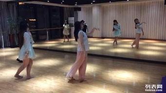 集训 成人 古典舞视频